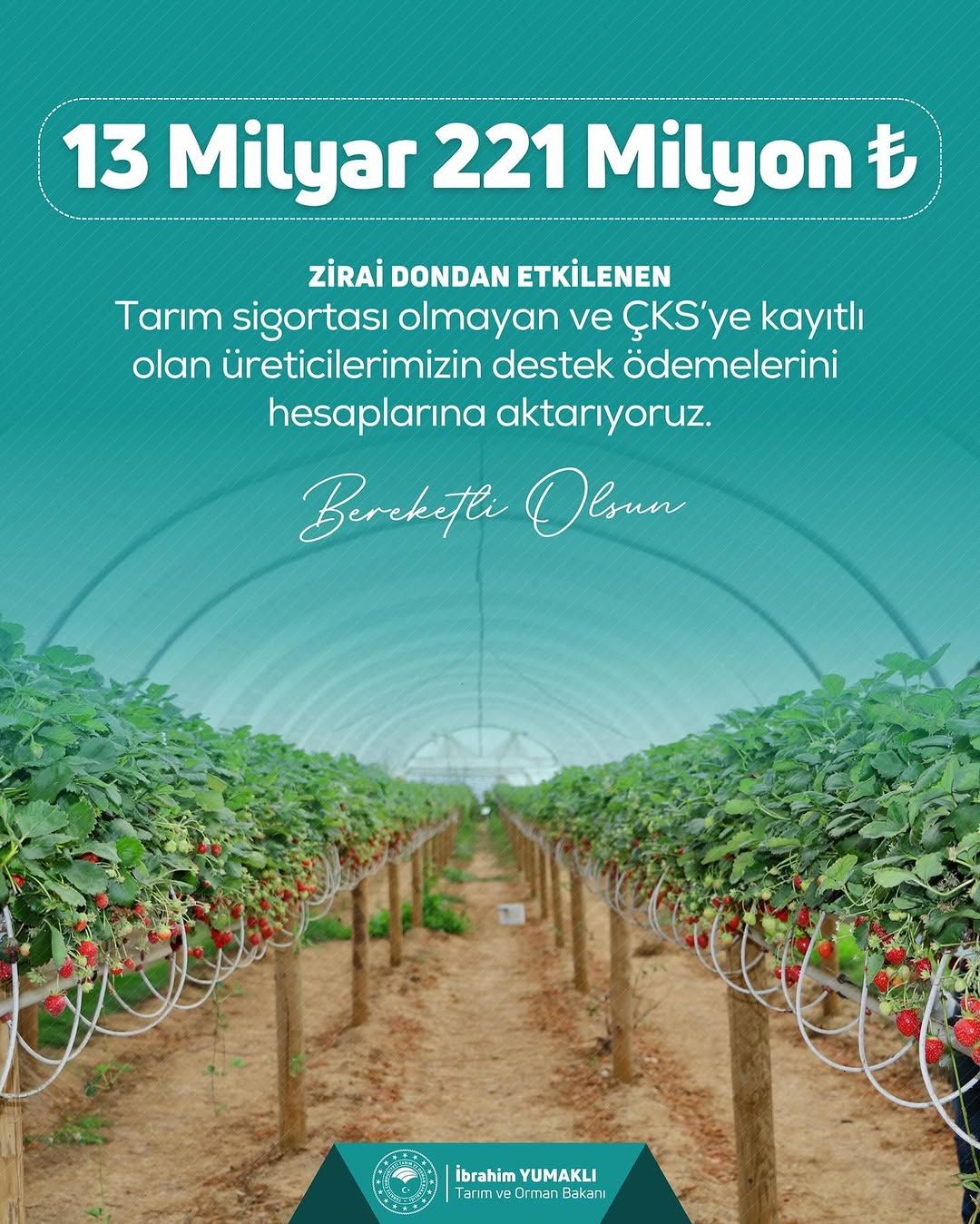 Serada çilek bitkileriyle dolu sıralar, üstte destek mesajı yazılı.