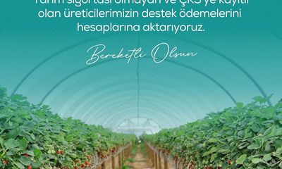 Sivas'ta Zirai Dondan Etkilenen Çiftçilere 13 Milyar TL'lik Destek
