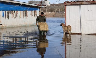 Sivas’ta Karların Erimesi Taşkına Dönüştü: 80 Kangal Köpeğinin Bulunduğu Çiftlik Sular Altında Kaldı