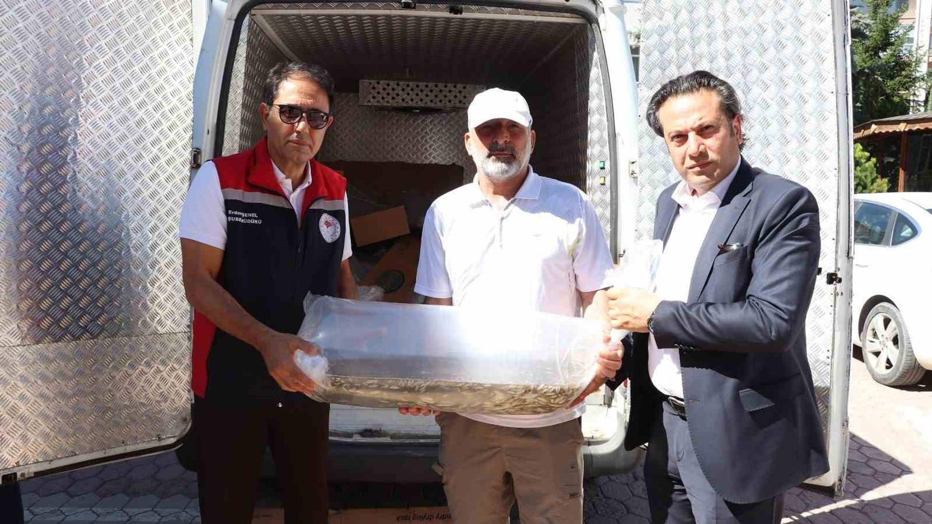 Sivas’ta 19 göl ve gölete bırakılan 860 bin yavru sazanla su ürünleri stokları güçlendiriliyor.
