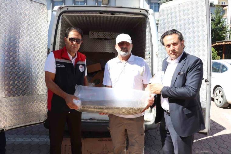 Açık arka kapılı bir aracın önünde üç kişi, içinde balıklar bulunan şeffaf bir kabı birlikte tutuyor.