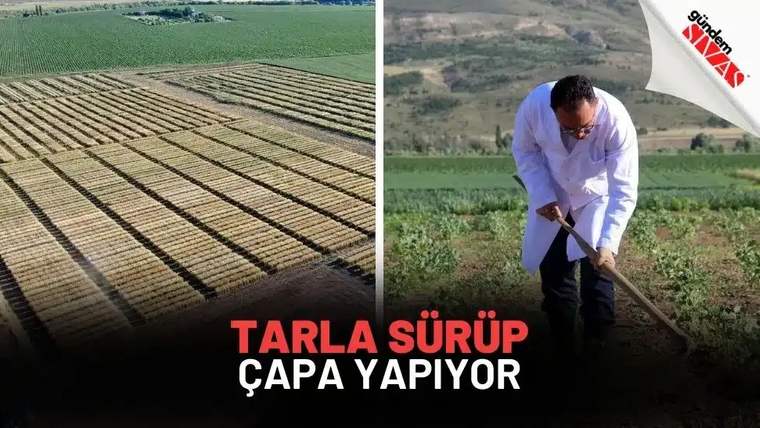 Tarla sürüp çapa yapan bir kişi, arka planda yeşil tarım arazileri görünmekte.