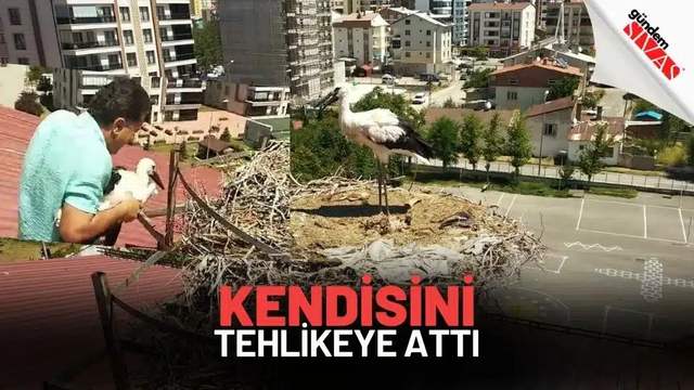Kendisini Tehlikeye Attı