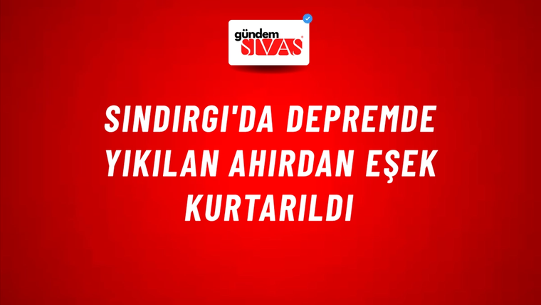 Sındırgı'da Depremde Yıkılan Ahırdan Eşek Kurtarıldı