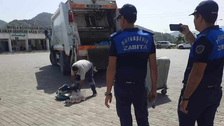 Muğla Büyükşehir zabıtası gıda denetimlerine devam ediyor - Birlik Haber Ajansı