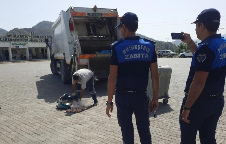 Muğla Büyükşehir zabıtası gıda denetimlerine devam ediyor - Birlik Haber Ajansı