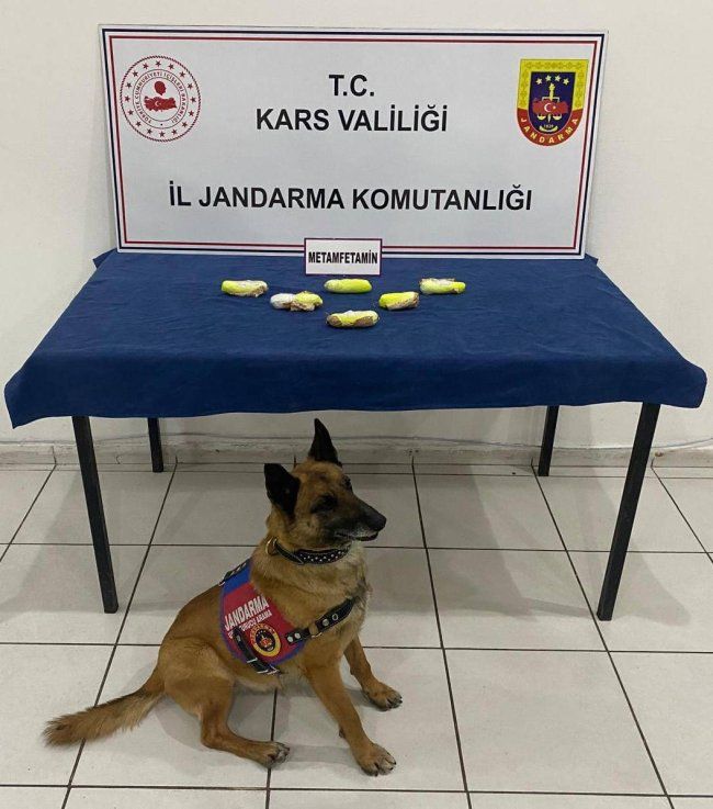 Kars'ta arama köpeği “Tabya” zehir tacirlerine geçit vermiyor! - Birlik Haber Ajansı