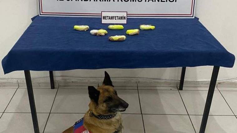 Kars'ta arama köpeği “Tabya” zehir tacirlerine geçit vermiyor! - Birlik Haber Ajansı