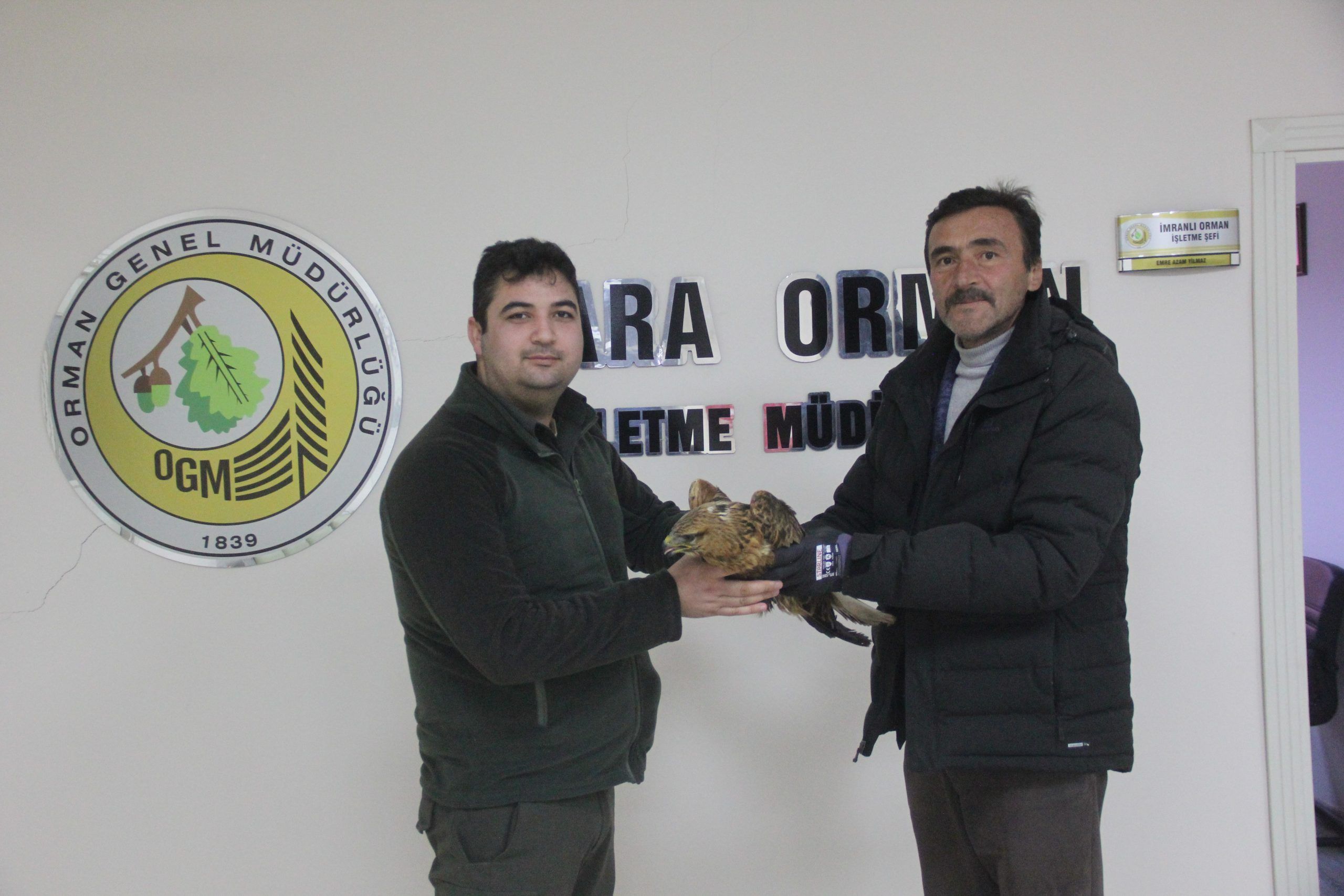 İki kişi, bir kızıl şahin tutarak poz veriyor. Arkada orman müdürlüğü tabelası var.