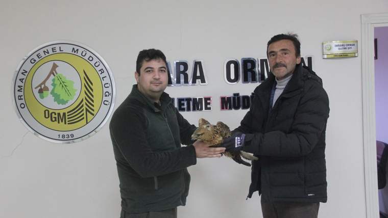 İki kişi, bir kızıl şahin tutarak poz veriyor. Arkada orman müdürlüğü tabelası var.