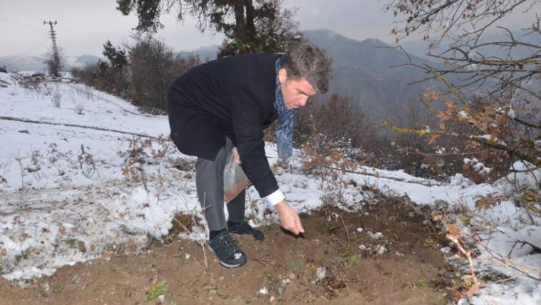 Amasya Valisi Önder Bakan,132 yıl sonra tohumları toprakla buluşturdu
