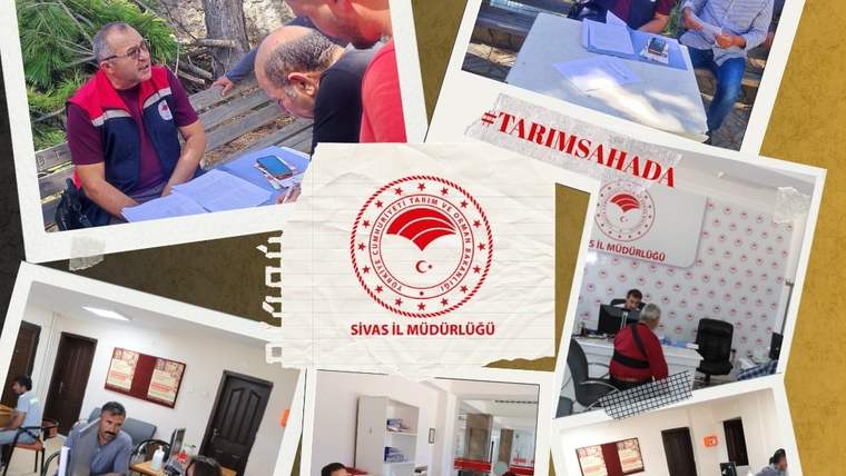 Sivas İl Tarım Orman Müdürlüğü'nde çiftçilere bilgi veren yetkililer, ofis içinde ve dışarıda çalışıyor.