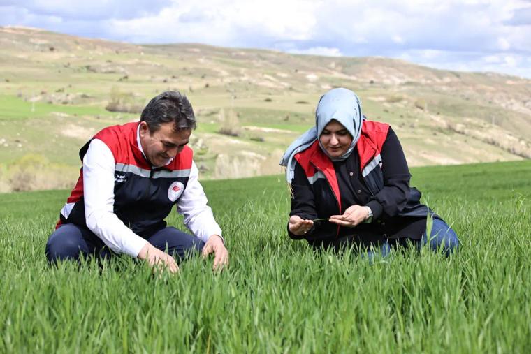 Sivas’ta Çiftçilere Kritik Uyarı: Sarı Pas ve Kök Çürüklüğü Verimi Tehdit Ediyor