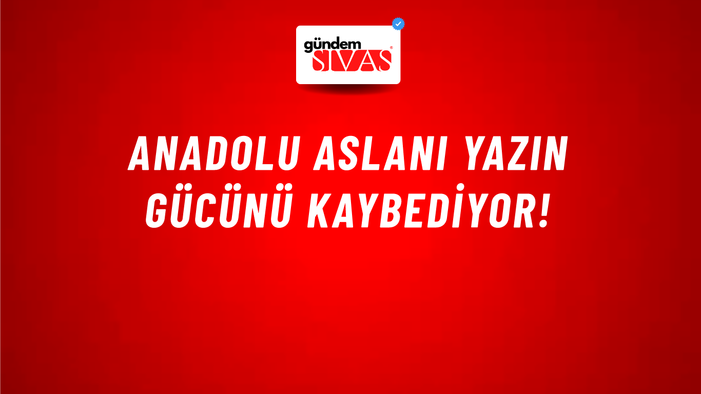 Anadolu Aslanı Yazın Gücünü Kaybediyor!
