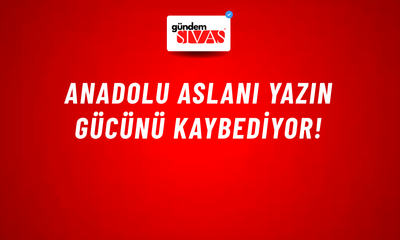 Anadolu Aslanı Yazın Gücünü Kaybediyor!