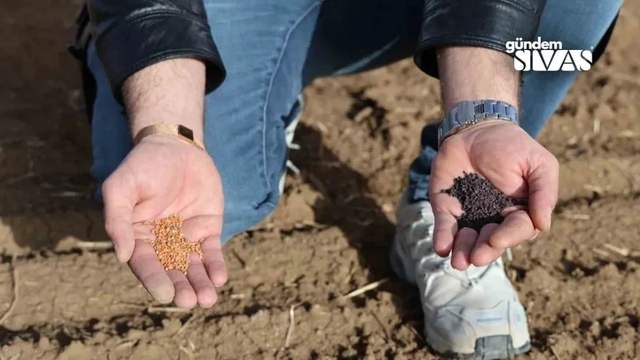 Sivas Topraklarından Dubai Sofralarına