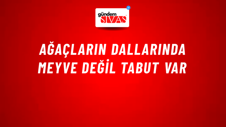 Ağaçların Dallarında Meyve Değil Tabut Var