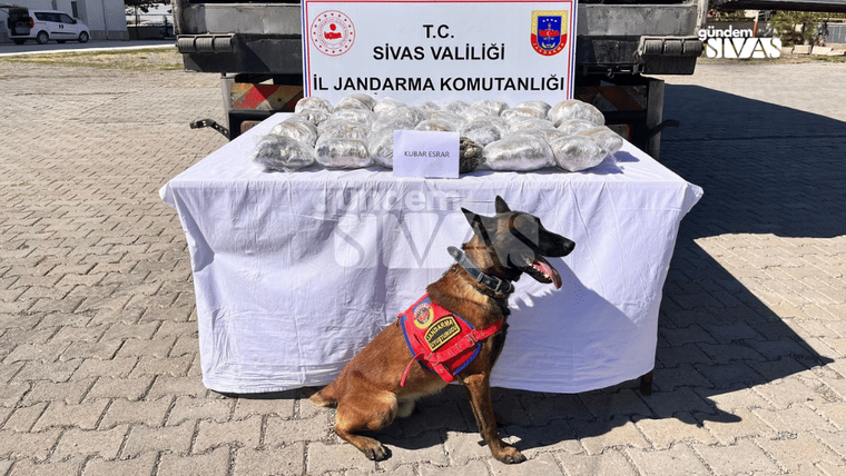 Beyaz örtü serili masanın üzerinde paketler, önünde bir köpek oturuyor.