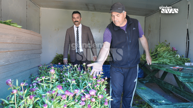Kapalı bir araç bölümünde iki kişi, mor çiçek demetleri ve yeşil bitkilerin arasında duruyor.