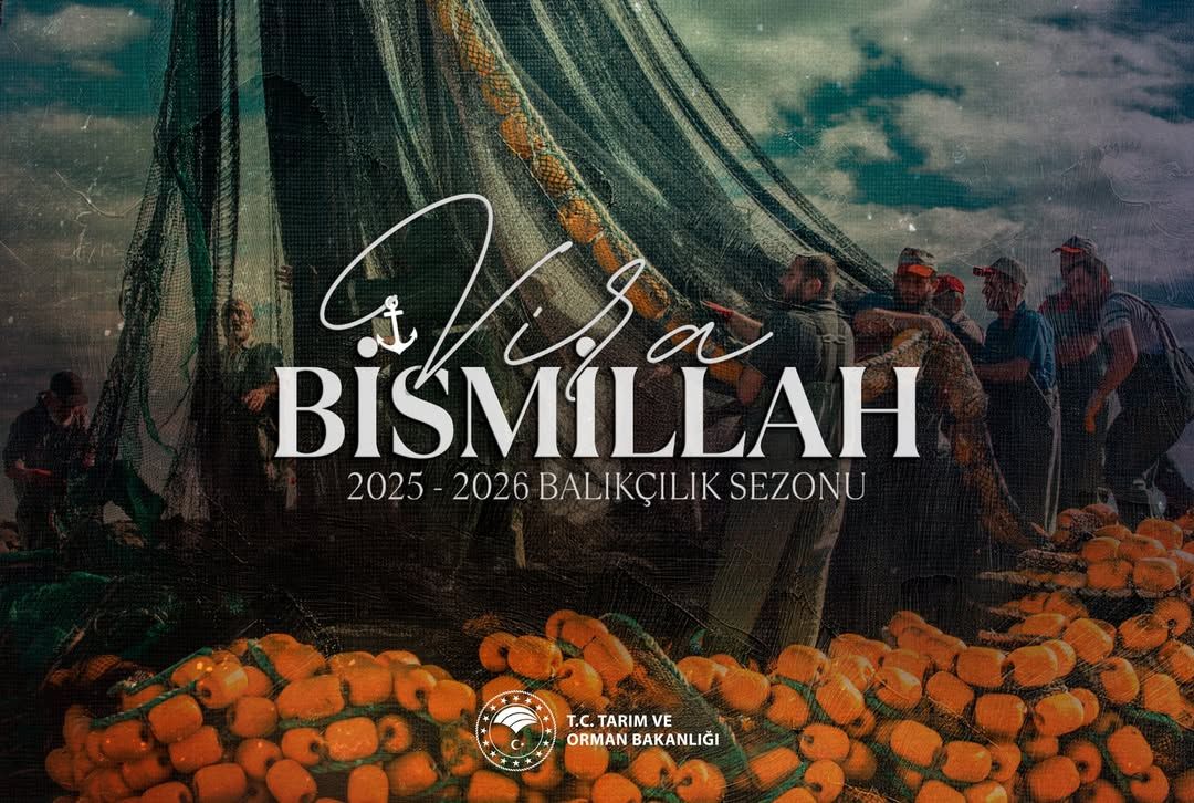 Balıkçıların ağlarını hazırladığı bir sahne, ön planda turuncu balıklar var.