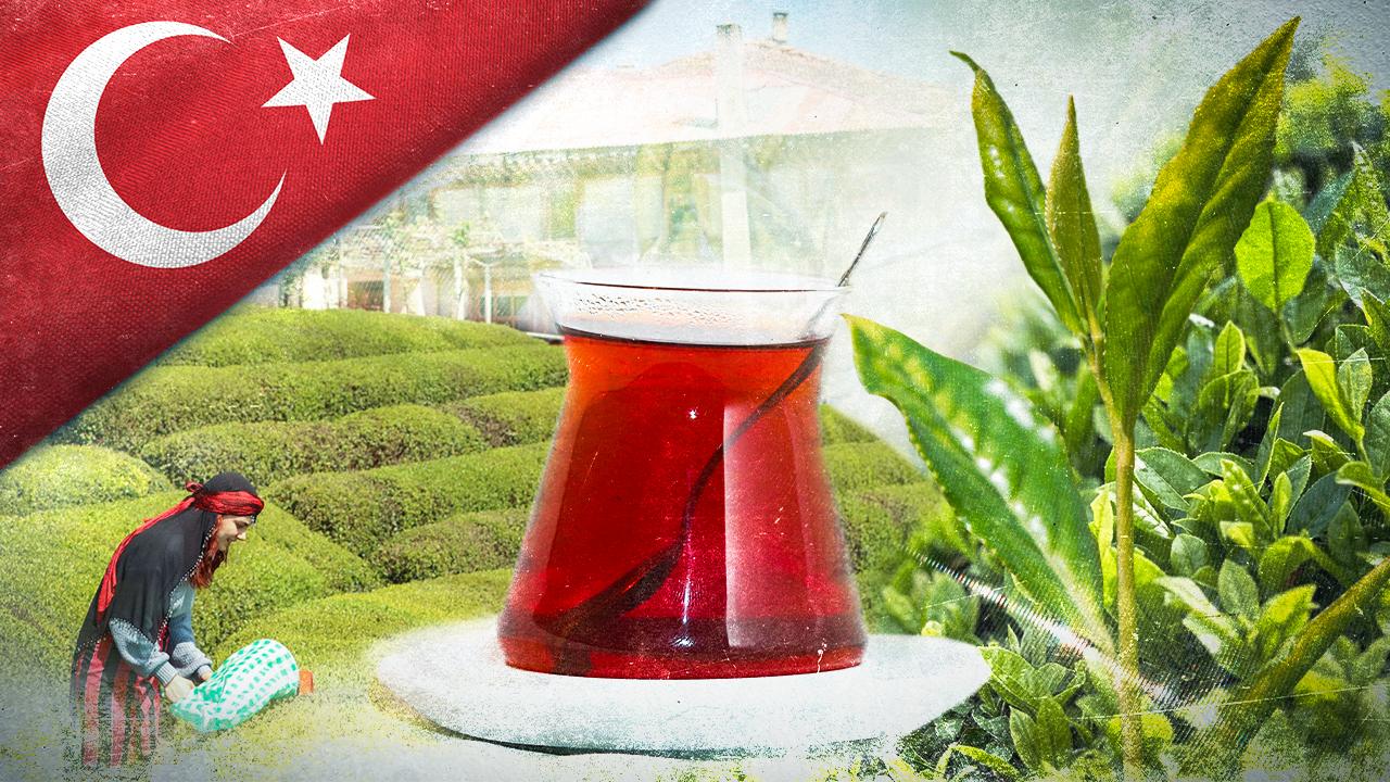 Türk çayı 1,2 milyon dolar kazandırdı - Birlik Haber Ajansı
