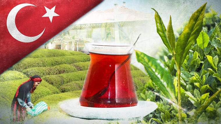 Türk bayrağı, çay tarlası, çay bardağı ve yeşil çay yapraklarının bir arada bulunduğu kolaj