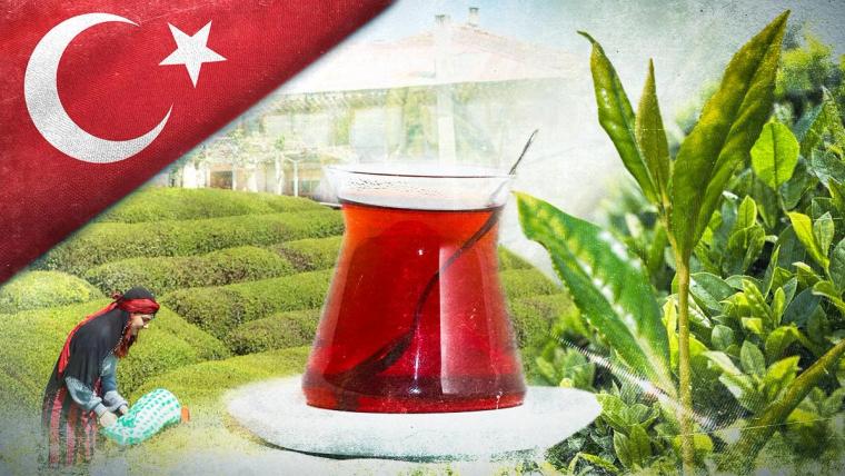 Türk çayı 1,2 milyon dolar kazandırdı - Birlik Haber Ajansı
