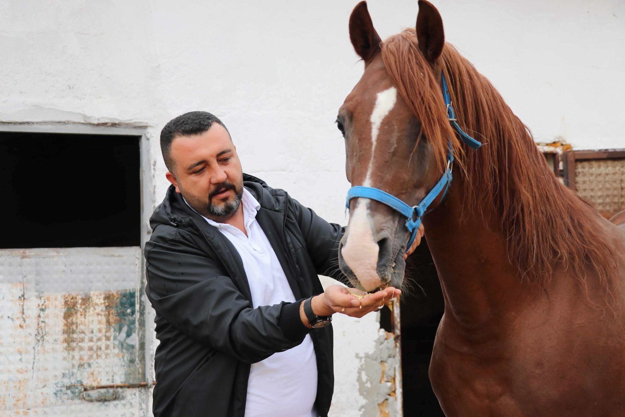Gelenek Yaşıyor: Sivas'ta Nalbantlık Mesleğinin Son Temsilcileri