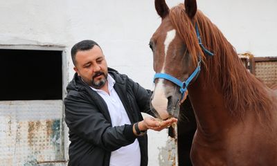 Gelenek Yaşıyor: Sivas'ta Nalbantlık Mesleğinin Son Temsilcileri