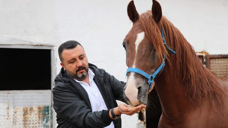 Bir adam, önünde duran atın eline yem veriyor.