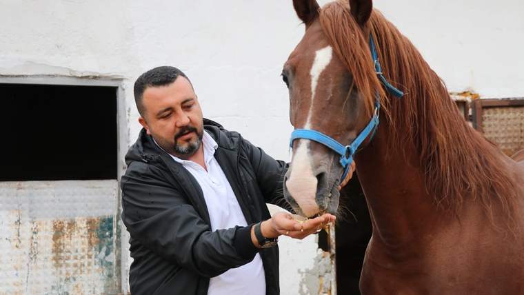Bir adam, önünde duran atın eline yem veriyor.
