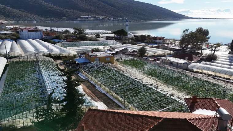 Göl kıyısında, üzerleri beyaz örtülerle kaplı çok sayıda sera ve çevresindeki evler görülüyor.