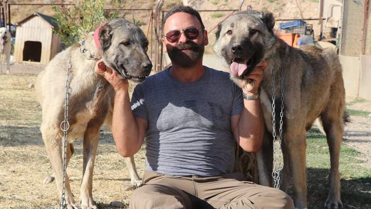 İki Kangal köpeği, bir adamın yanlarında oturduğu bir alanda gülümsemekte.