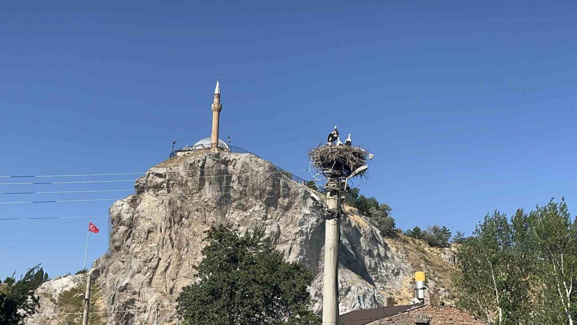Sivas Abdulvahabi Gazi Mahallesi’ndeki leylek ailesi, her yıl aynı yuvaya dönerek doğal döngüyü sürdürüyor.