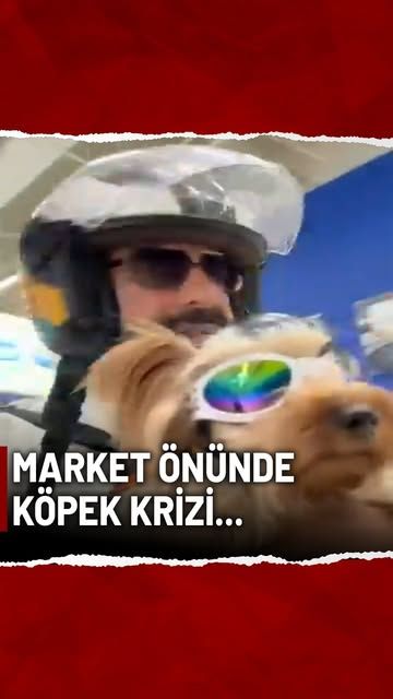 Gözlük takan bir köpek, motosikletli bir kişinin kucağında duruyor.
