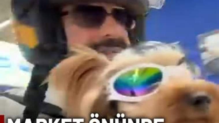 Gözlük takan bir köpek, motosikletli bir kişinin kucağında duruyor.
