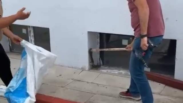 Okulda Paniğe Neden Olan Yılan Öğretmen Tarafından Yakalandı