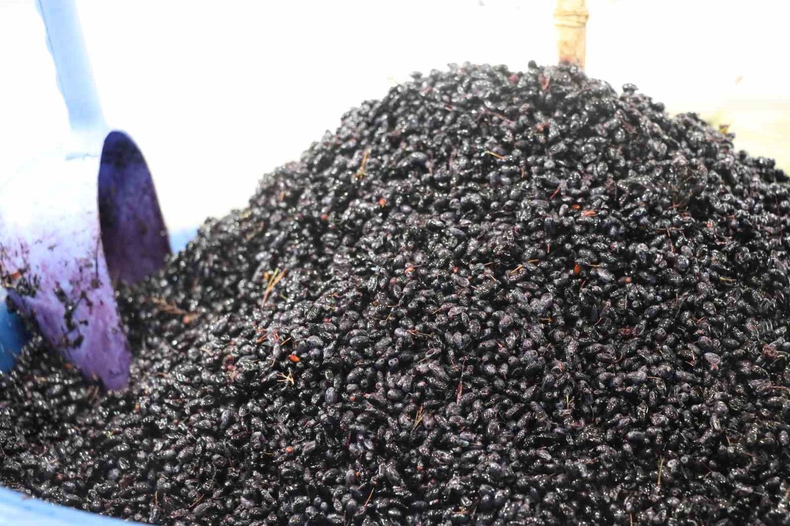 Birçok derde deva karamuk meyvesi tezgahlardaki yerini aldı
