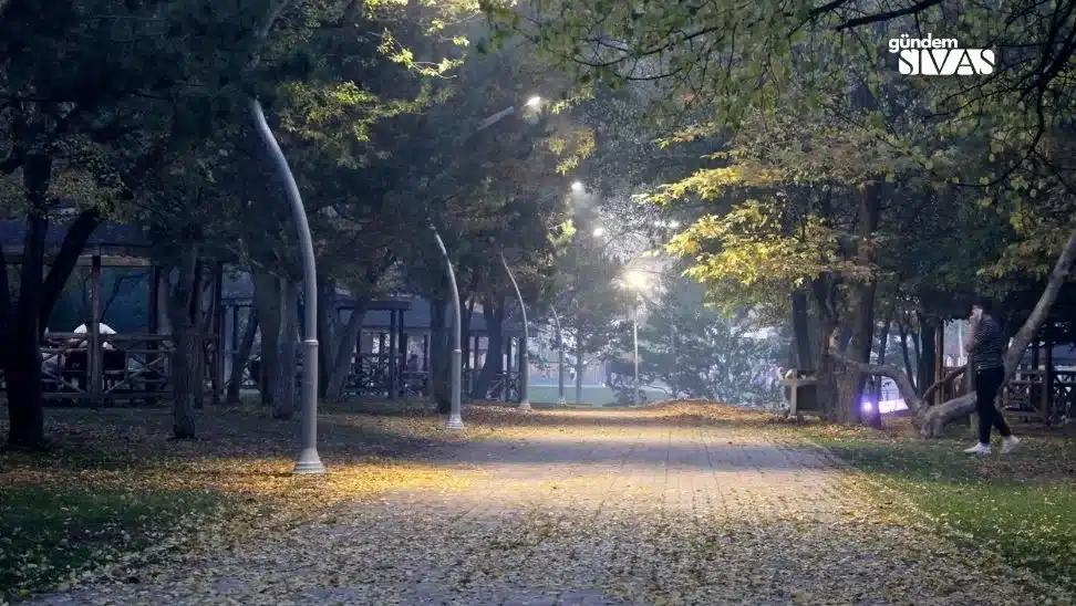 Ağaçların arasında yer alan bir park yolu, sarı yapraklarla kaplı ve aydınlatma direkleriyle aydınlatılmış.