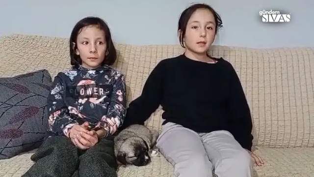 İnek Sürüsüne Katılan Beklenmedik Misafir