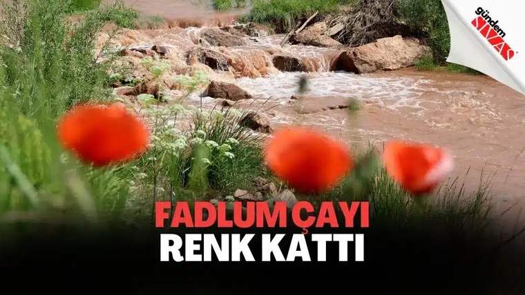 Kayalıklar arasından akan bulanık kahverengi suyun önünde kırmızı çiçekler ve yeşil bitkiler görülüyor.