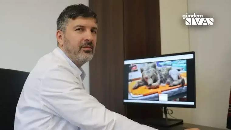 Bir kişi, bilgisayar ekranında ayıların görüntüsüyle birlikte oturuyor.