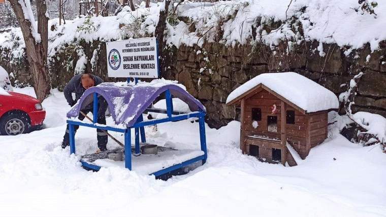 Bir kişi, karla kaplı bir alanda sokak hayvanları için hazırlanan bir barınağın üstünü temizliyor.