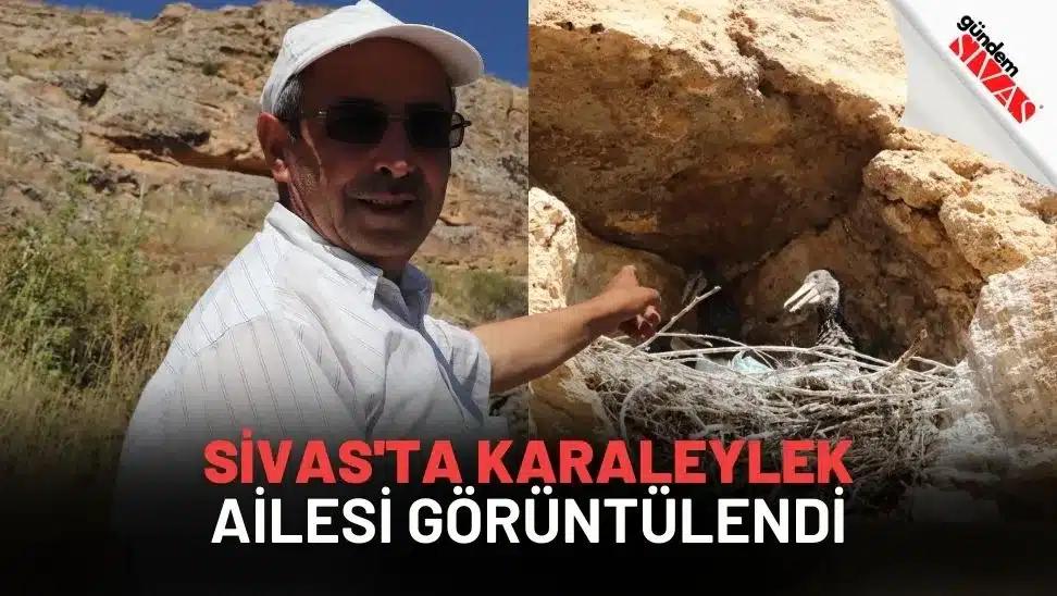 Sivas'ta Karaleylek Ailesi Görüntülendi