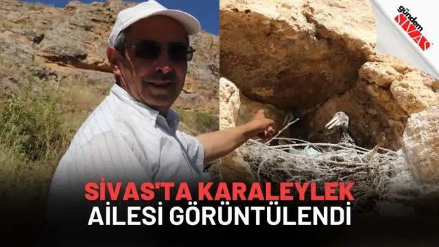 Sivas'ta Karaleylek Ailesi Görüntülendi