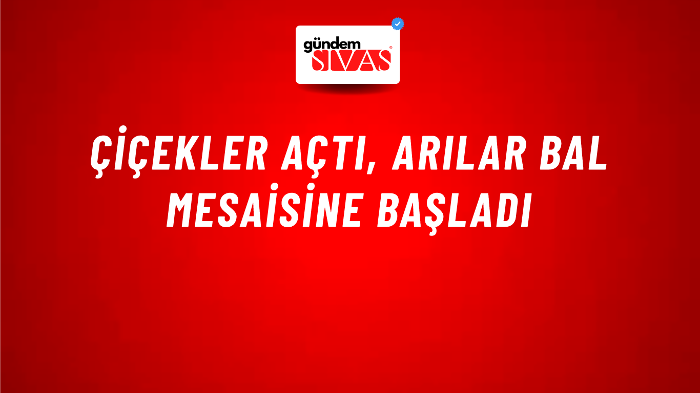 Çiçekler Açtı, Arılar Bal Mesaisine Başladı