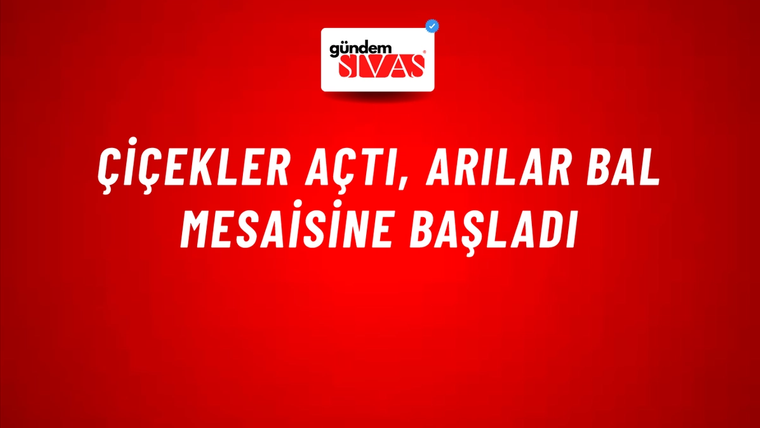 Çiçekler Açtı, Arılar Bal Mesaisine Başladı