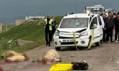 Koyun Sürüsüne Dalıp Çobanın Ölümüne Neden Oldu, 9 Hayvan Telef Oldu