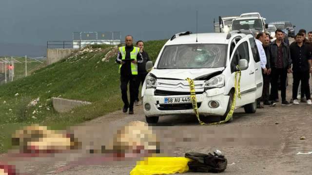 Koyun Sürüsüne Dalıp Çobanın Ölümüne Neden Oldu, 9 Hayvan Telef Oldu