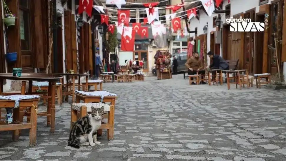 Sadece Kadınların İşlettiği Hüma Hatun Sokağı
